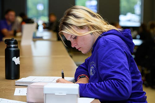 Upper School Girl Studying